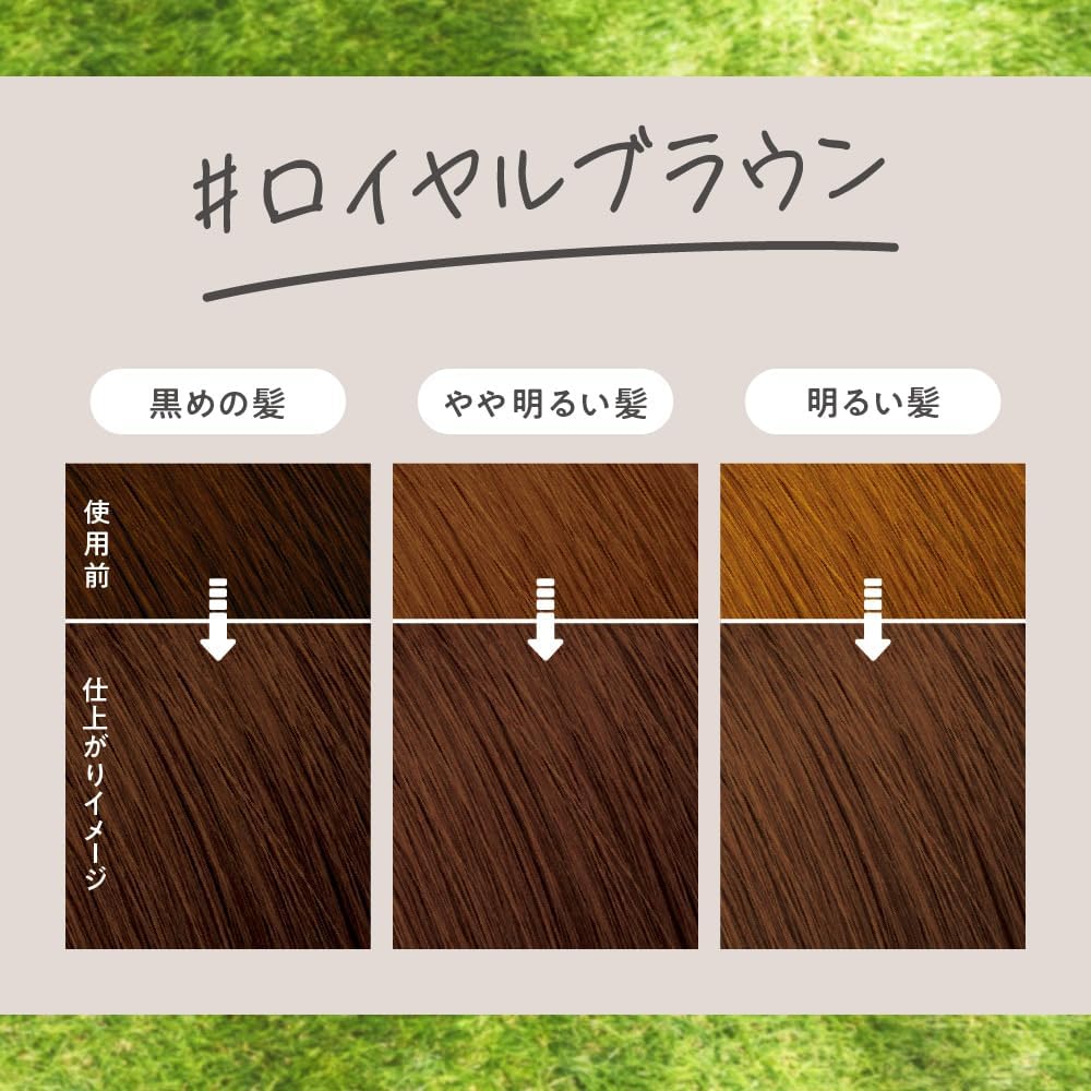 KAO Liese Tint Color Gel 191ml - Royal Brown Hair Care