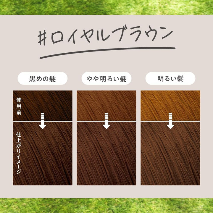 KAO Liese Tint Color Gel 191ml - Royal Brown Hair Care