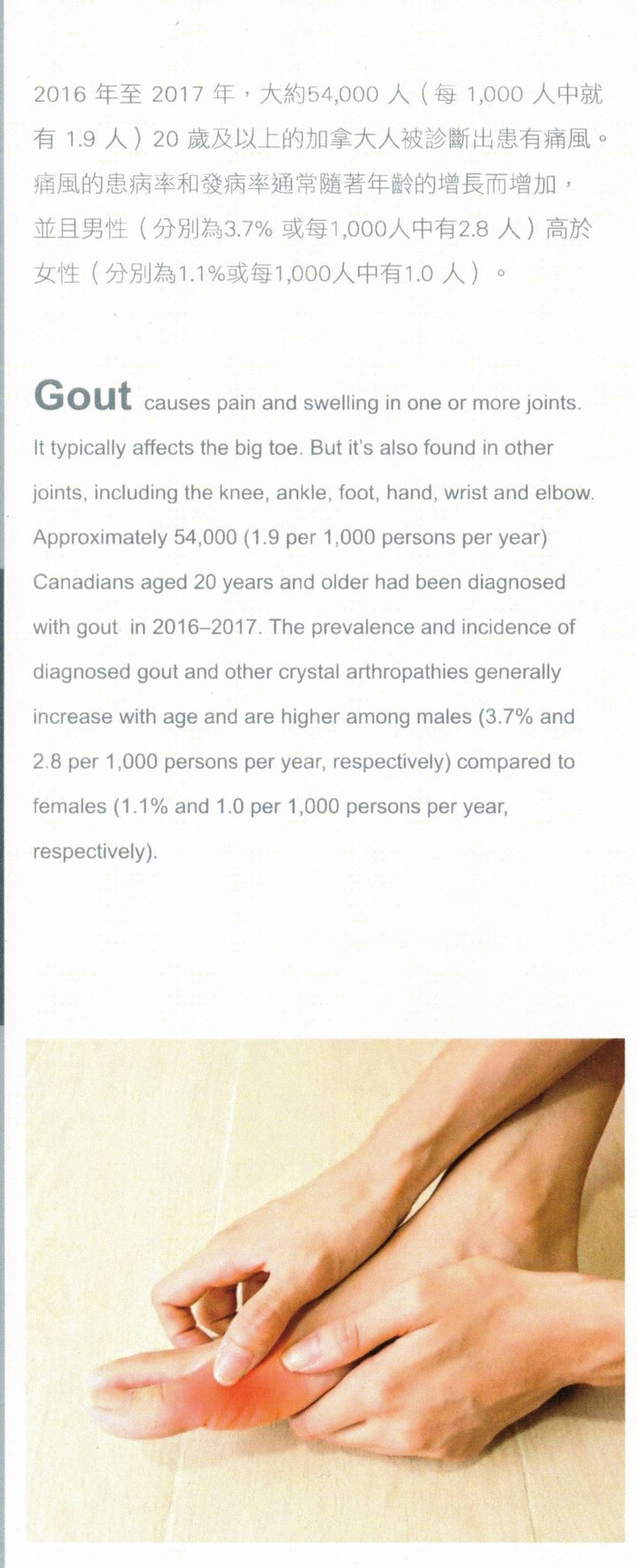 Gout Relief Capsules (Tong Feng Ling) NPN80106062 Health & Beauty oceanbuy.ca markham toronto free ship USA asian korean skincare