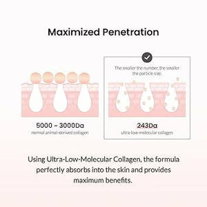 BIODANCE Pore Tightening Collagen Cream 50ml