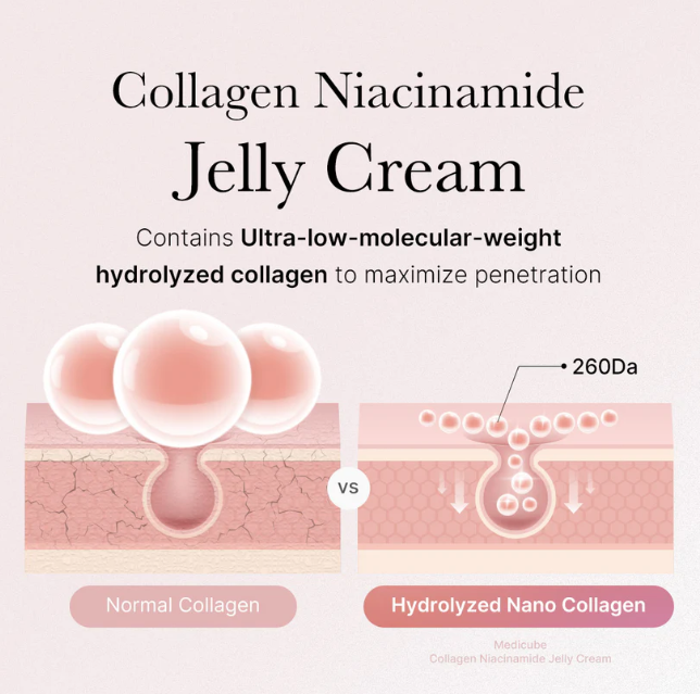 An informational graphic for Collagen Niacinamide Jelly Cream comparing normal collagen and hydrolyzed nano collagen, with pink cross-section diagrams and text on a pale pink background.