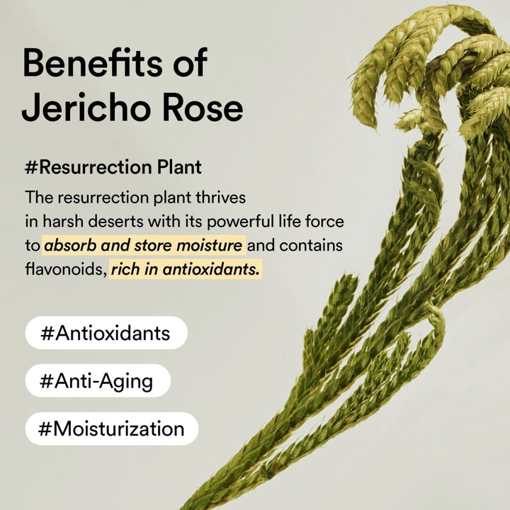 Abib Collagen Jericho Rose Eye Cream 30ml 8