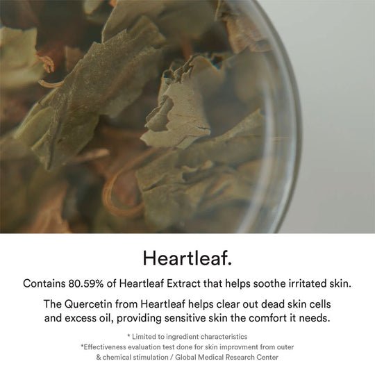ABIB Heartleaf Essence Calming Pump 50ml (FINAL SALE) 2