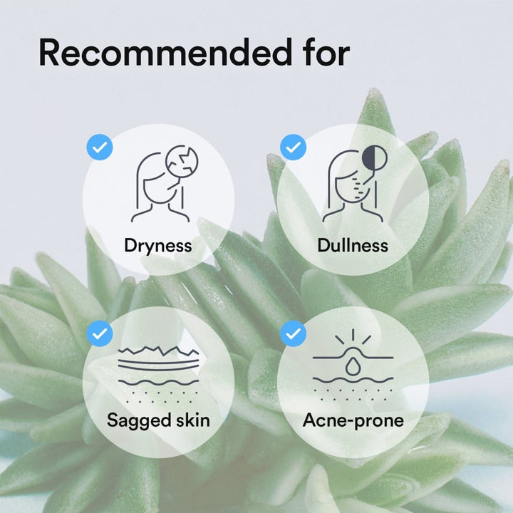 Abib Vegan Collagen Hydrating Hydrogel Mask 10 sheets 8