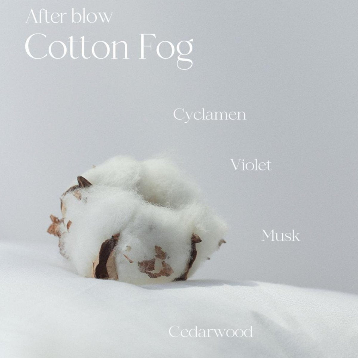 AFTER BLOW Eau De Perfume 25ml - 06 Cotton Fog