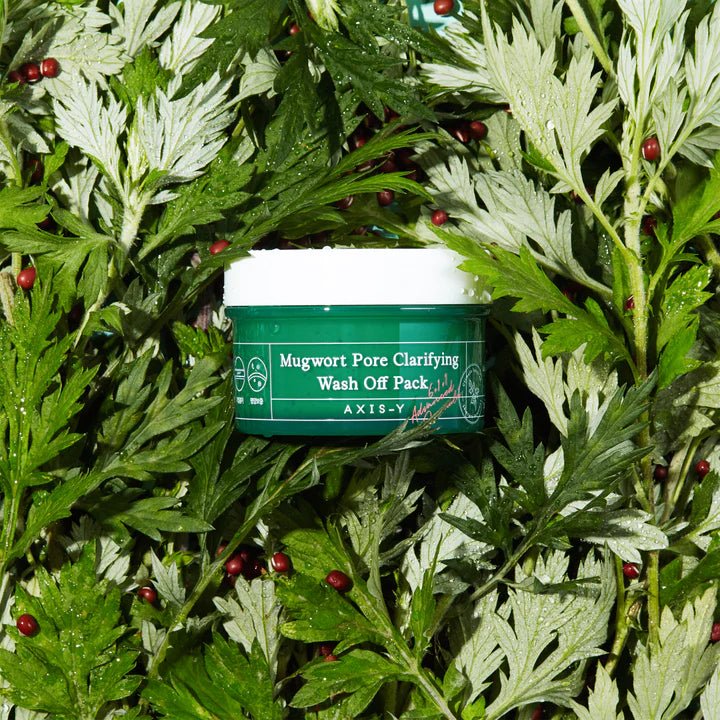 AXIS - Y Mugwort Pore Clarifying Wash Off Pack 100ml Health & Beauty 2
