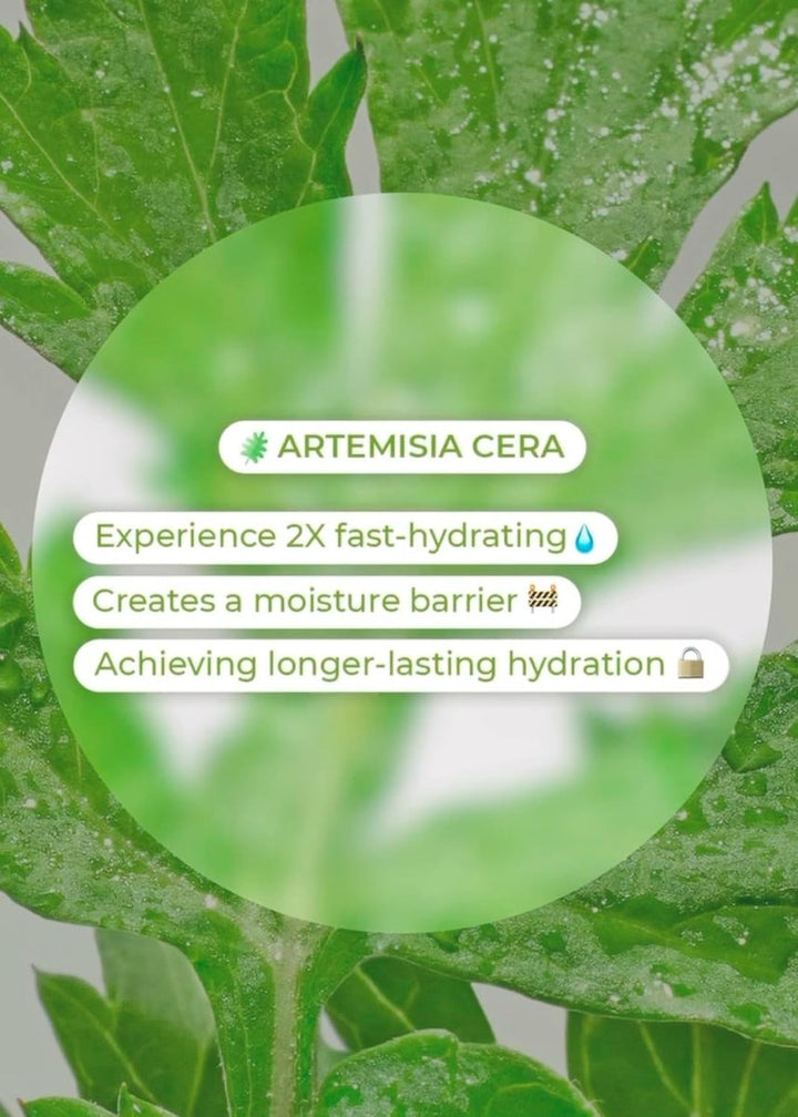 BRING GREEN Artemisia Cera Calming Moisture Gel Cream 75ml*2 Health & Beauty oceanbuy beauty markham toronto free ship USA asian korean skincare