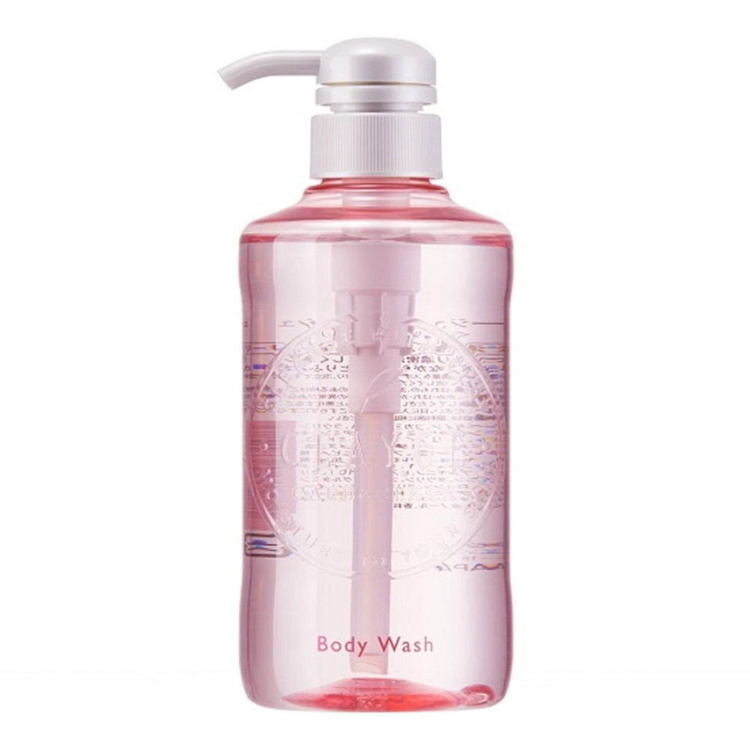 CLAYGE Body Wash Moist N 480ml Health & Beauty 1