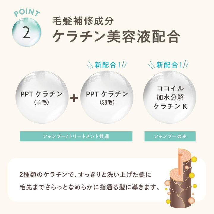 CLAYGE Hair Shampoo SR 500ml Hair Care 5