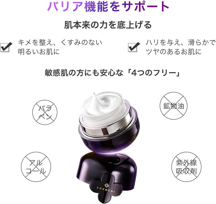 COCOCHI Renovating Tightening Treatment Cream Mask 110g Health & Beauty 7