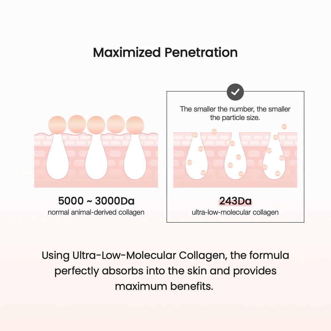 Biodance Pore Perfecting Collagen Peptide Cream 50ml collagen, hyaluronic acid, new, Niacinamide, SKIN CARE, Treatments, Serum & Essence