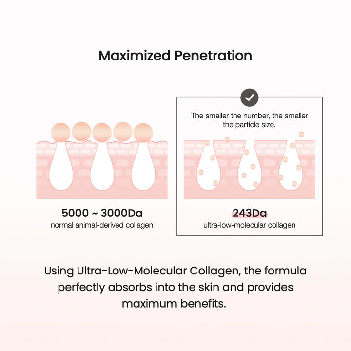 Biodance Pore Perfecting Collagen Peptide Cream 50ml collagen, hyaluronic acid, new, Niacinamide, SKIN CARE, Treatments, Serum & Essence