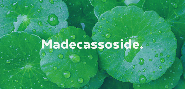 APIEU Madecassoside Moisture Gel Cream Centella Asiatica 50ml SKIN CARE, Moisturizers, Facial Moisturizers, Centella Asiatica Cream, Madecassoside Gel, K-beauty Hydration, Calming Moisturizer, Skin Barrier Support, Soothing Face Cream