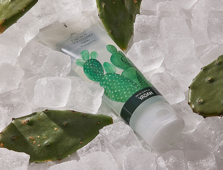 Yadah Cactus Soothing Gel Hydrating 105ml