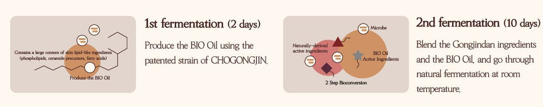CHOGONGJIN Youngan Jin Emulsion BIO Gongjin 125ml SKIN CARE, Moisturizers, Facial Moisturizers, Korean Skincare Emulsion, Hydrating Moisturizer, Skin Firming, Black Ginseng Extract, Skin Radiance, Barrier Support, K-Beauty Moisturizer
