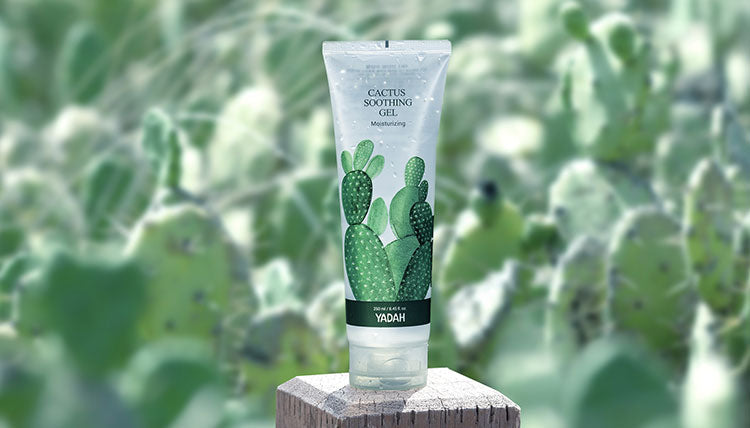 Yadah Cactus Soothing Gel Hydrating 105ml