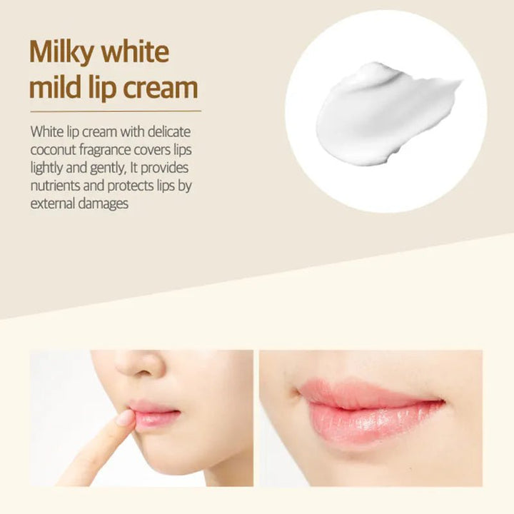 FRUDIA Coconut Honey Salve Lip Cream Moisture 10g Lip Balm 6