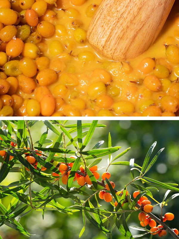 Im From Vitamin Fruit Serum Vitamin C 30ml Serum 6