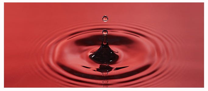 MISSHA Time Revolution Red Algae Irish Moss Cream 50ml Cream 4