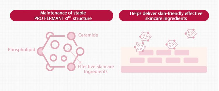 MISSHA Time Revolution The First Essence Lotion 5X Extreme Cica Yeast Ferment 130ml Moisturizer 3