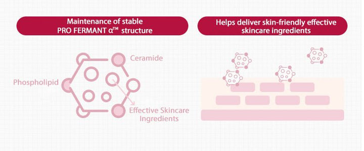 MISSHA Time Revolution The First Essence Lotion 5X Extreme Cica Yeast Ferment 130ml Moisturizer 3