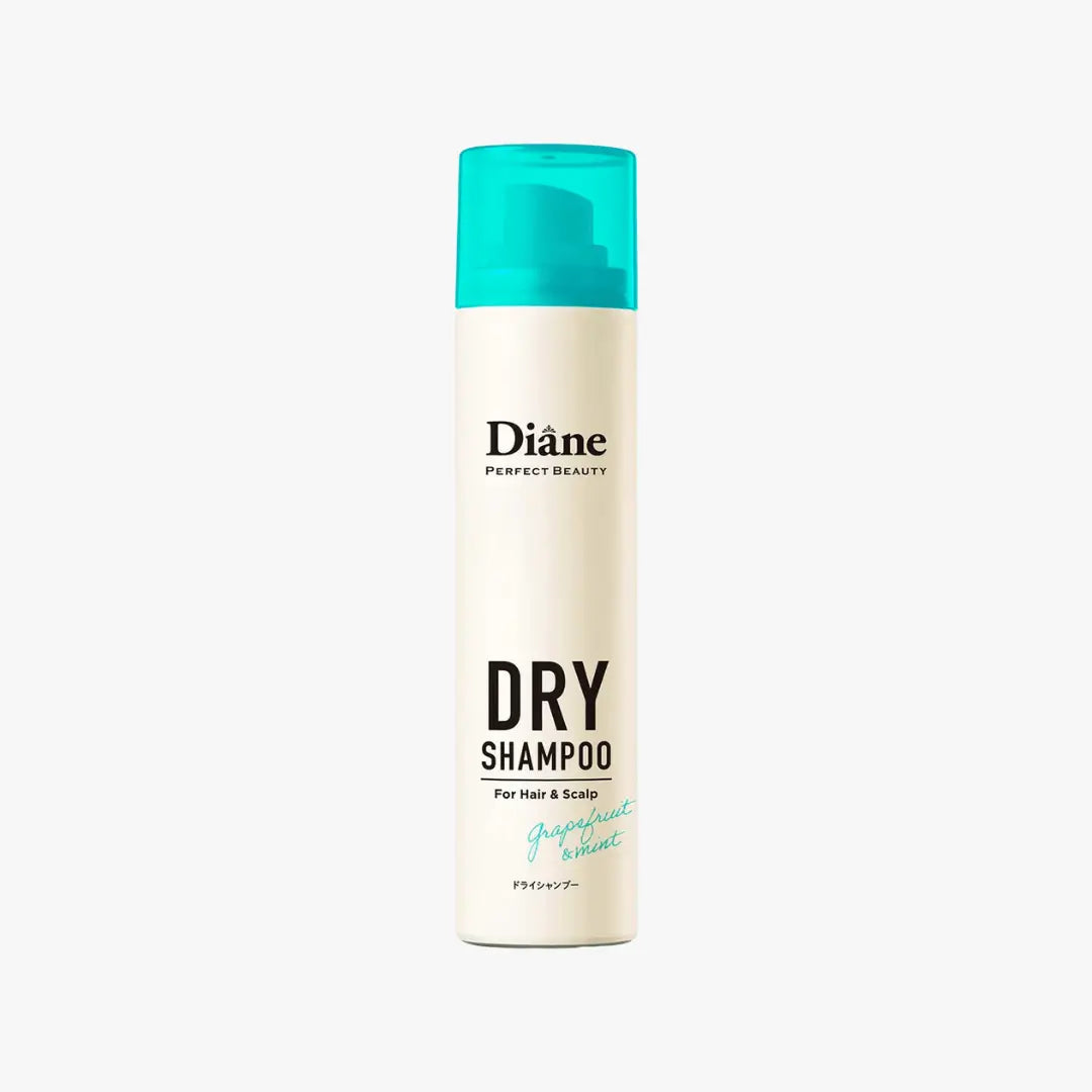 MOIST DIANE Perfect Beauty Dry Shampoo Oil Absorbing 95g