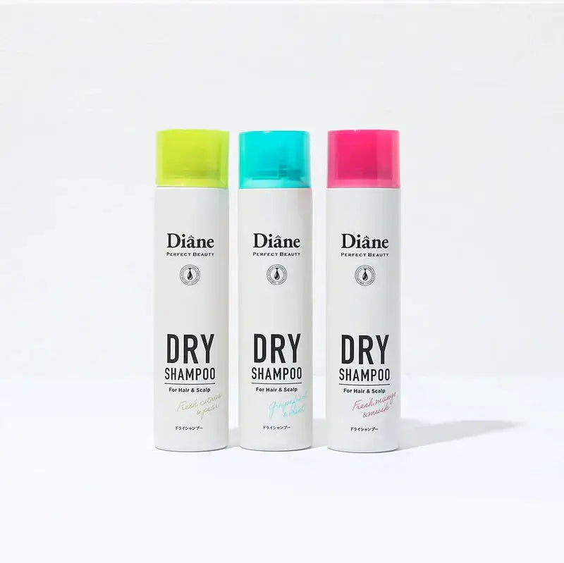 MOIST DIANE Perfect Beauty Dry Shampoo Oil Absorbing 95g