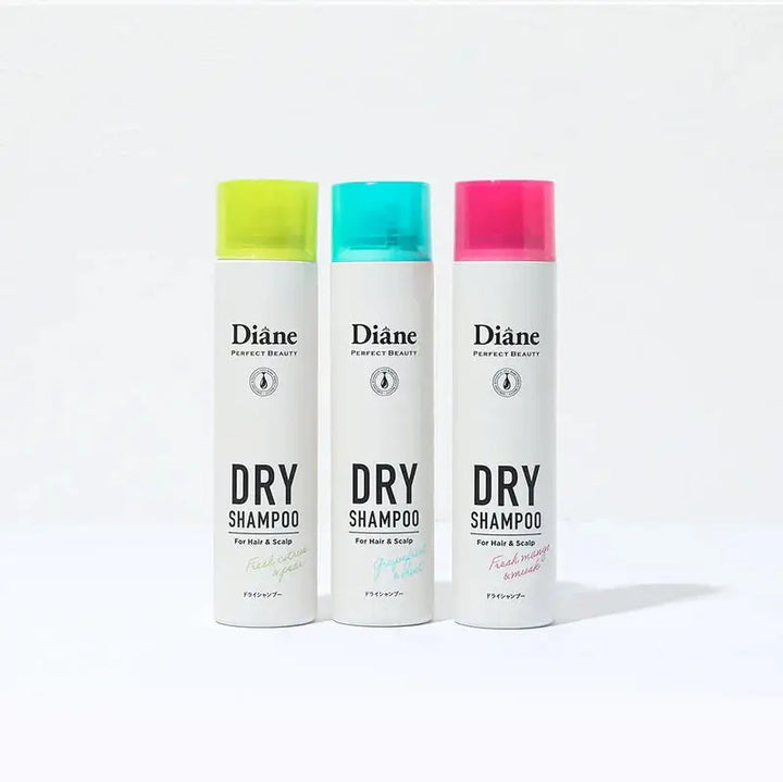 MOIST DIANE Perfect Beauty Dry Shampoo Oil Absorbing 95g