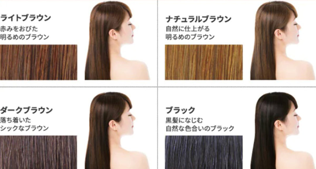 RISHIRI Konbu Natural Hair Coloring Stick 20g - Black