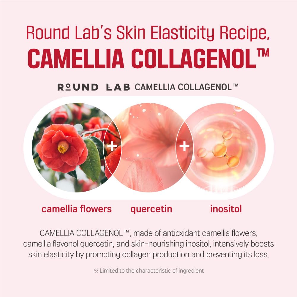 ROUND LAB Camellia Deep Collagen Firming Ampoule 30ml Health & Beauty