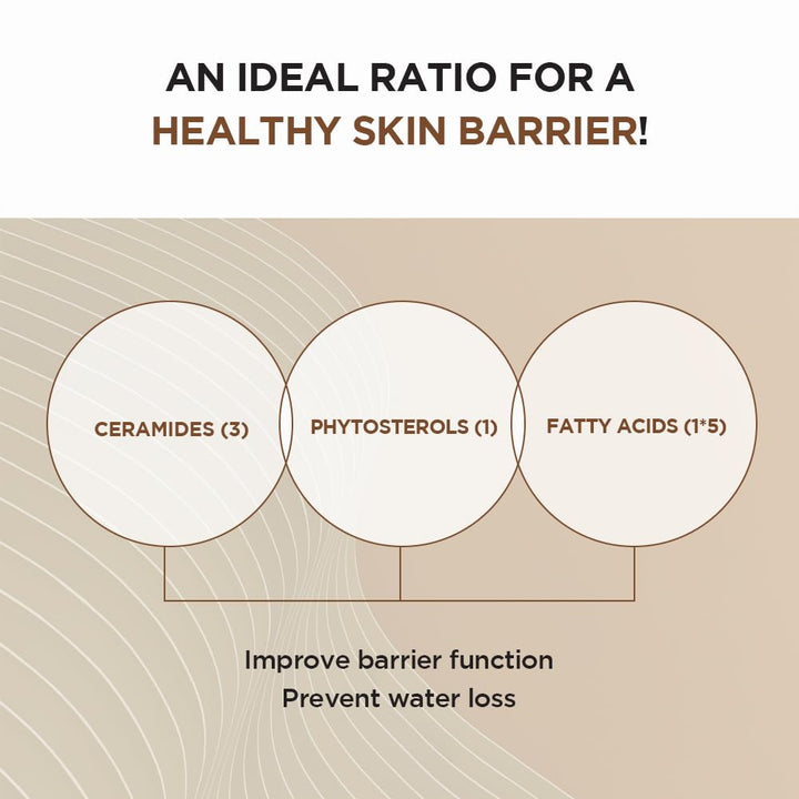 SKIN1004 Madagascar Centella Probio - Cica Intensive Ampoule 95ml Health & Beauty oceanbuy beauty markham toronto free ship USA asian korean skincare