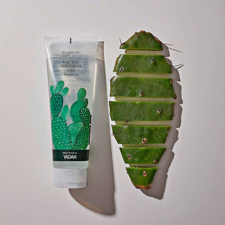 Yadah Cactus Soothing Gel Cactus Extract 250ml