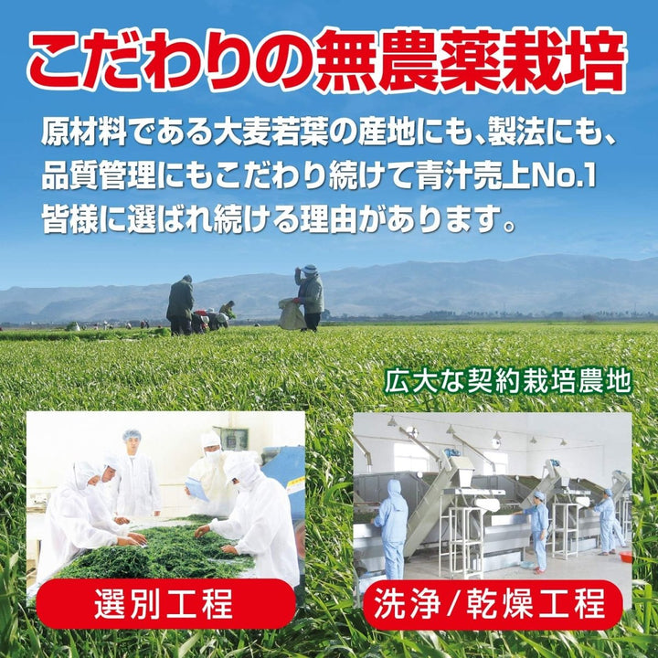 YAMAMOTO KANPO Barley Grass Powder 100% Natural (Gluten Free) 44 Bags Health & Beauty oceanbuy beauty markham toronto free ship USA asian korean skincare
