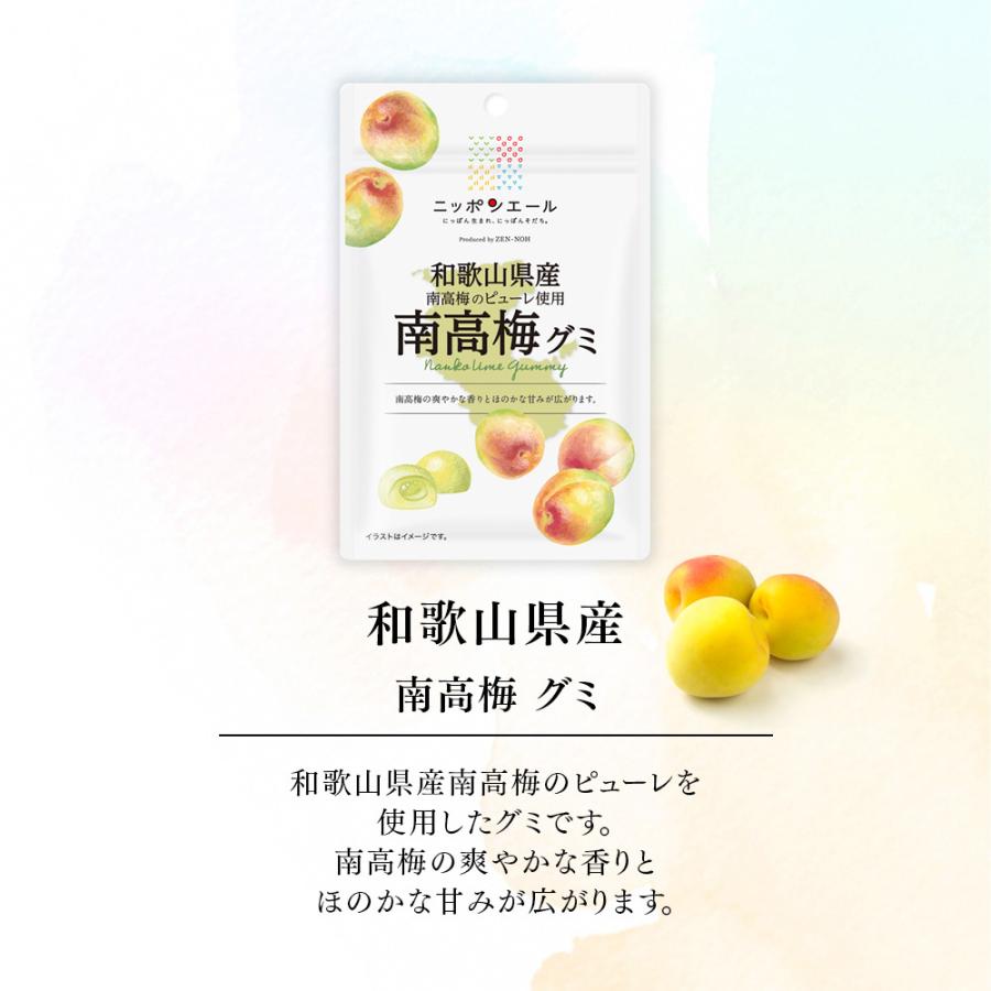 ZEN - NOH Nanka Ume Gummy 40g Food, Beverages & Tobacco oceanbuy beauty markham toronto free ship USA asian korean skincare