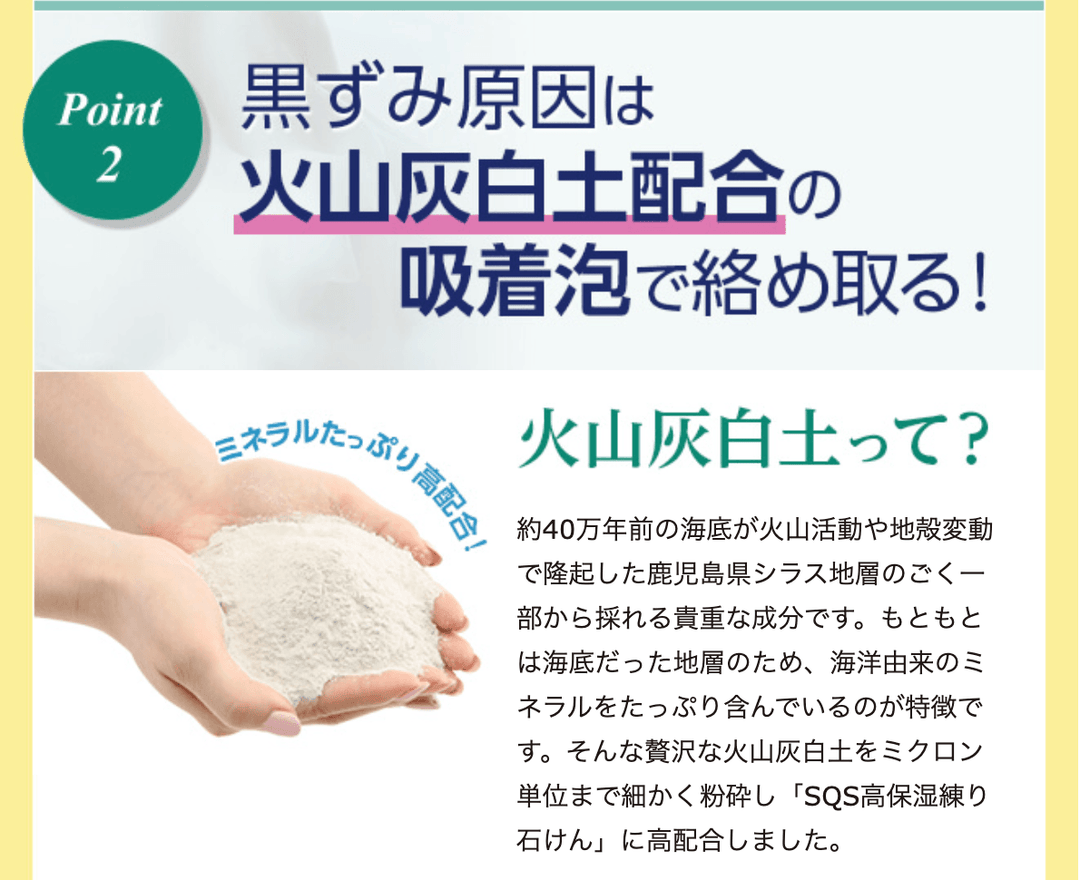 ISHIZAWA LAB SQS Rich Moisture Face Wash Paste 100g
