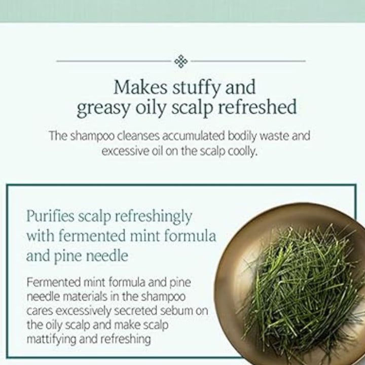 RYO Green Scalp Deep Cleansing Hair Care Set 550ML X2 & Free HAPPY BATH Grapefruit Essence Body Wash 200g